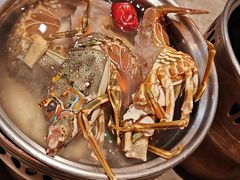-亚马逊蒸汽活海鲜自助(LCM置汇旭辉广场店)