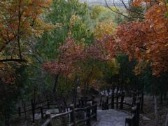 -北宫国家森林公园