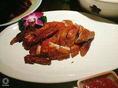 -南枝记