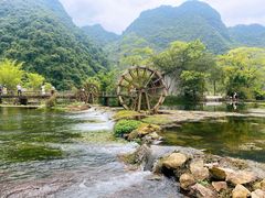 -靖西鹅泉风景区