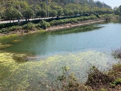 -青龙山国家森林公园