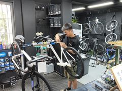 -JAVA佳沃自行车(浦东旗舰店)