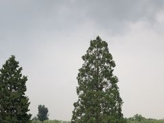 -素心小筑(后沙裕镇店)