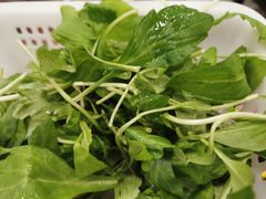 -正能量脆肉鲩火锅