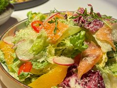 沙拉三文鱼-晟永興烤鸭店(五道口店)