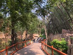 -北京野生动物园