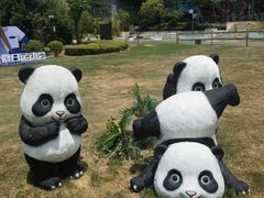 -天目湖涵田半山温泉