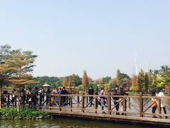 -海珠湖公园