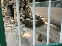 -保定市动物园