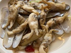 -上海圣淘沙万怡酒店