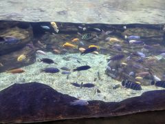 -南昌海洋公园