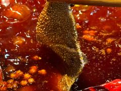 -大龙火锅(老店)