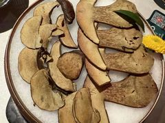 -芸山季·云南山珍菌火锅(人民广场来福士店)