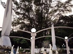 -梅窝