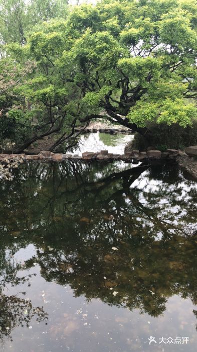 汤山公园图片
