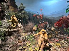 -陕西自然博物馆