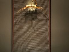 包厢-大树餐厅(益田假日店)