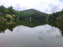 -四明山国家森林公园