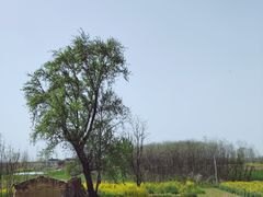 -林间山庄