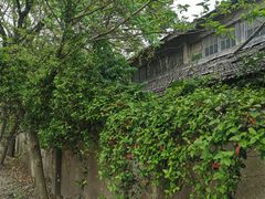 -上海佘山国家森林公园天马山园