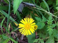 iphone_upload_pic-灵溪风景区