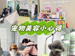 -格蕾宠物医院24H·猫科·肿瘤科·骨科中心(福州总院)