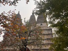 -北京石刻艺术博物馆(五塔寺)