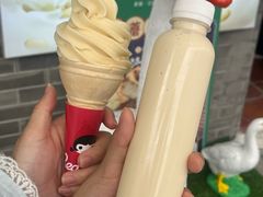 -长洲岛