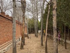 -北京市八达岭人民公墓
