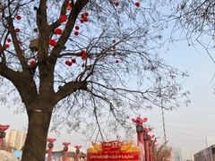 -西安汉城湖景区