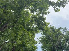 -青岛德国总督楼旧址博物馆