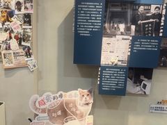 -伟伟宠物医院·CT影像中心·瑞派犬猫综合性门诊(汉口总院)