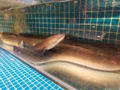 -隐炉和牛烧肉店(群力店)