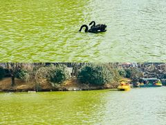 -无锡动物园·太湖欢乐园