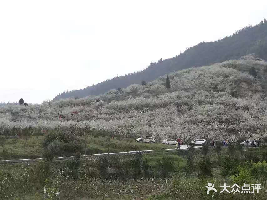 这里最好自驾，坐车不方便，属于郊区旅游景点