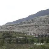 这里最好自驾，坐车不方便，属于郊区旅游景点
