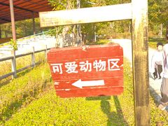 -田野绿世界