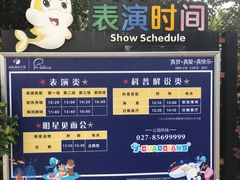 -海合安武汉极地海洋公园