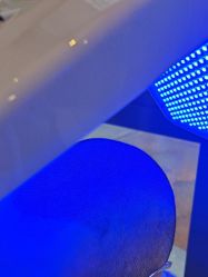 -碧莲盛·不剃发植发