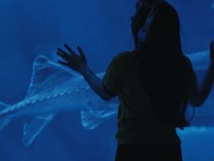 -重庆欢乐海底世界