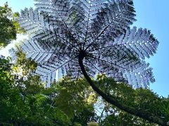-热带雨林自然公园