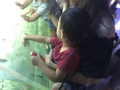 -重庆欢乐海底世界