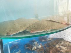 -晓伟海鲜家常菜