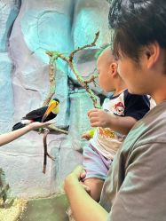 -Zoolung Zoolung动物主题公园(海信广场店)