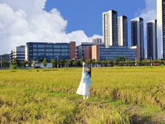 -光明小镇欢乐田园