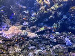 -大连老虎滩海洋公园