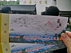 -茶颜悦色(岳麓山顶店)