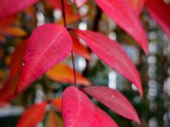 -中国农科院国家农业科技展示园