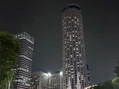 -新加坡瑞士史丹福酒店