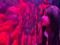 -左海海底世界